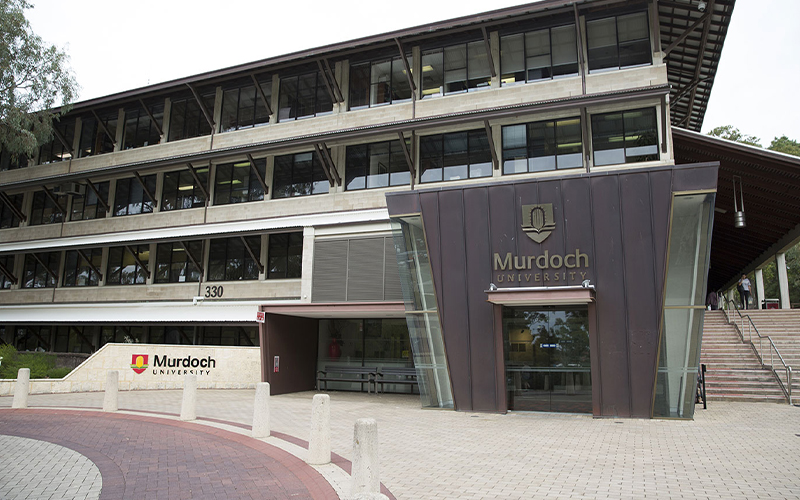 murdoch unviersity entrance