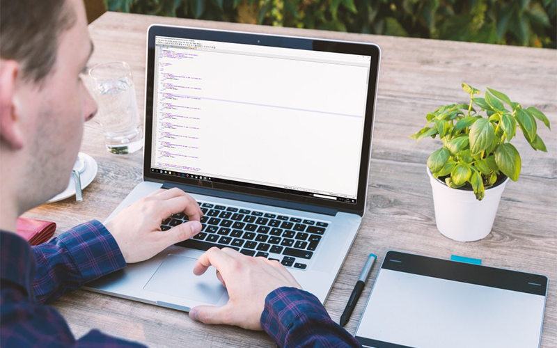 wordpress plugins