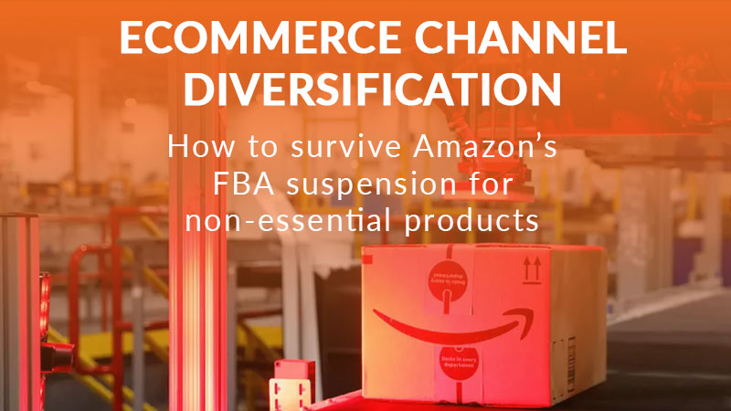 Ecommerce channel diversification guide
