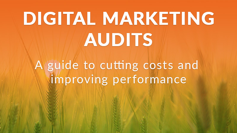 Digital marketing audits guide