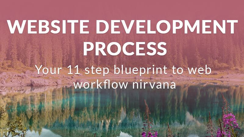 web dev process