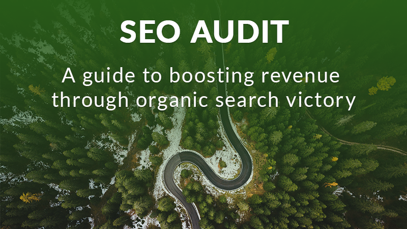 SEO Audit Guide